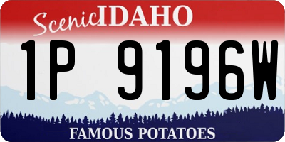 ID license plate 1P9196W