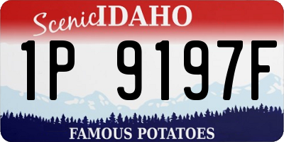 ID license plate 1P9197F