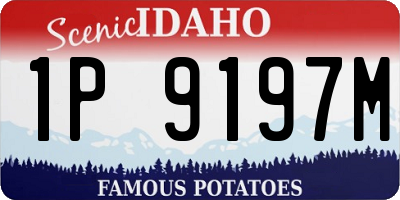 ID license plate 1P9197M