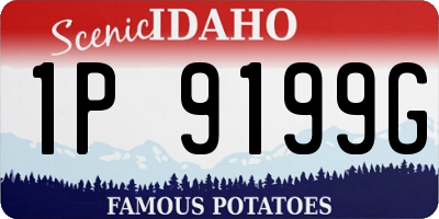 ID license plate 1P9199G