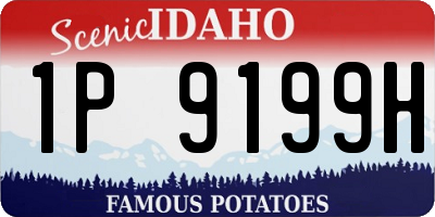 ID license plate 1P9199H