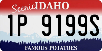 ID license plate 1P9199S