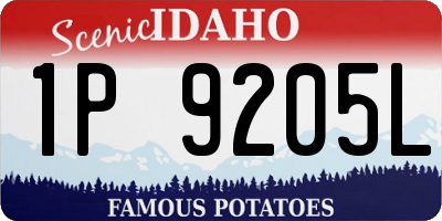 ID license plate 1P9205L