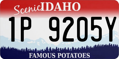 ID license plate 1P9205Y
