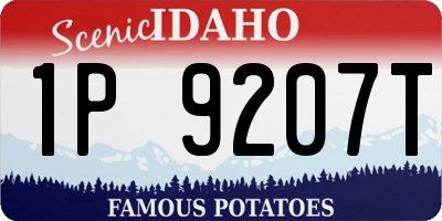 ID license plate 1P9207T