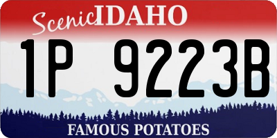 ID license plate 1P9223B