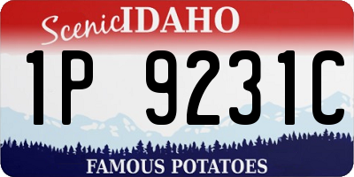 ID license plate 1P9231C