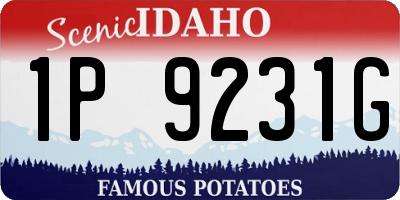 ID license plate 1P9231G