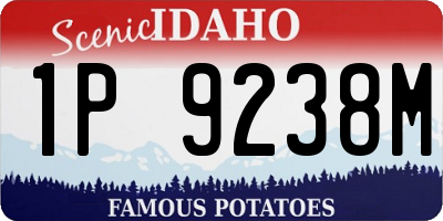 ID license plate 1P9238M