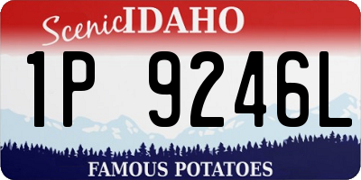 ID license plate 1P9246L