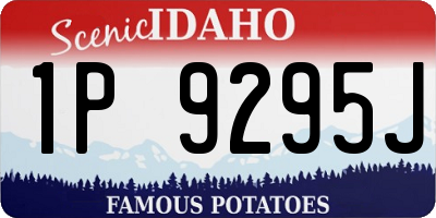 ID license plate 1P9295J