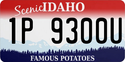ID license plate 1P9300U