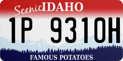 ID license plate 1P9310H