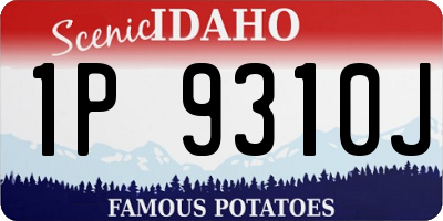 ID license plate 1P9310J