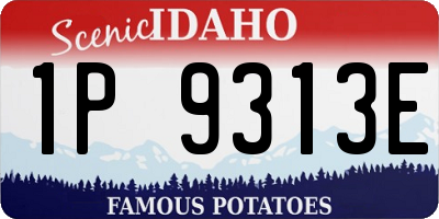 ID license plate 1P9313E