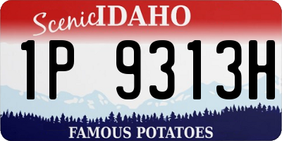 ID license plate 1P9313H