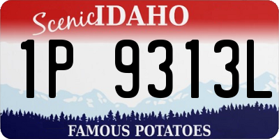 ID license plate 1P9313L