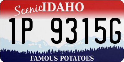 ID license plate 1P9315G