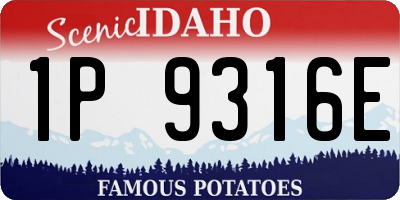 ID license plate 1P9316E