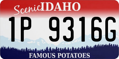 ID license plate 1P9316G