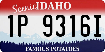 ID license plate 1P9316I