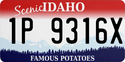ID license plate 1P9316X