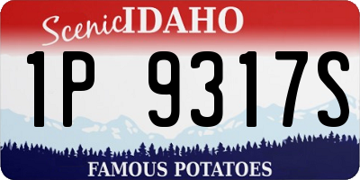 ID license plate 1P9317S