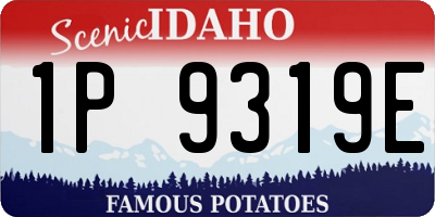 ID license plate 1P9319E