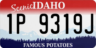 ID license plate 1P9319J