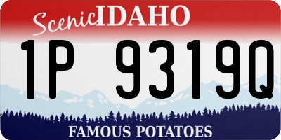 ID license plate 1P9319Q