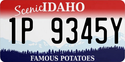 ID license plate 1P9345Y