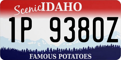 ID license plate 1P9380Z