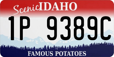 ID license plate 1P9389C