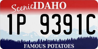 ID license plate 1P9391C