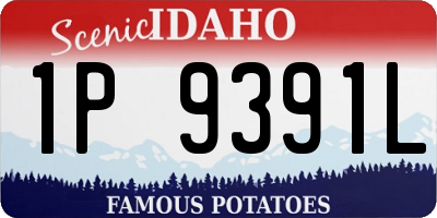 ID license plate 1P9391L