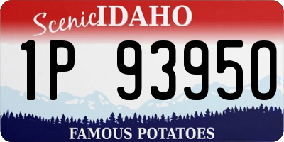 ID license plate 1P9395O