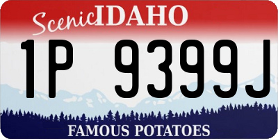 ID license plate 1P9399J