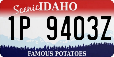 ID license plate 1P9403Z