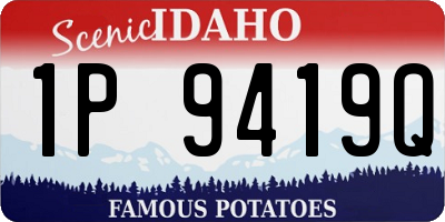 ID license plate 1P9419Q