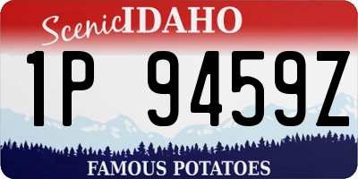 ID license plate 1P9459Z