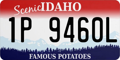 ID license plate 1P9460L