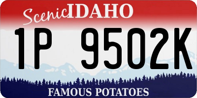 ID license plate 1P9502K