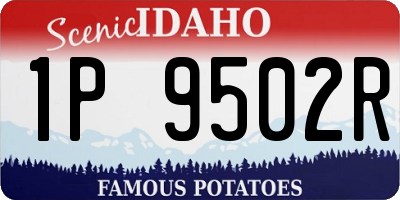 ID license plate 1P9502R
