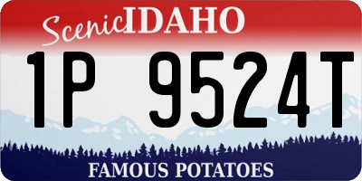 ID license plate 1P9524T