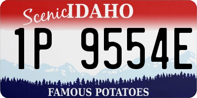 ID license plate 1P9554E