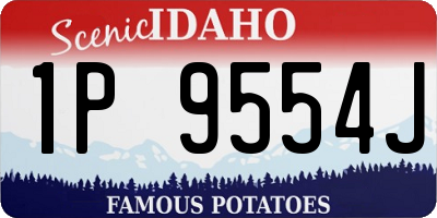 ID license plate 1P9554J
