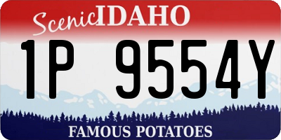 ID license plate 1P9554Y