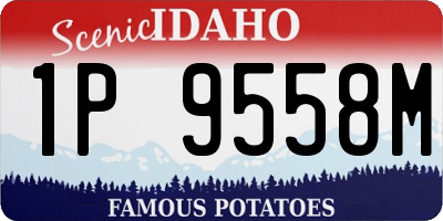 ID license plate 1P9558M