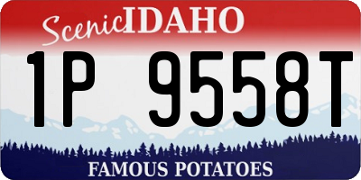 ID license plate 1P9558T