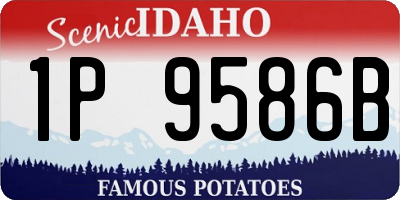 ID license plate 1P9586B